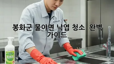 봉화군 물야면 낙엽 청소 🍂 완벽 가이드
