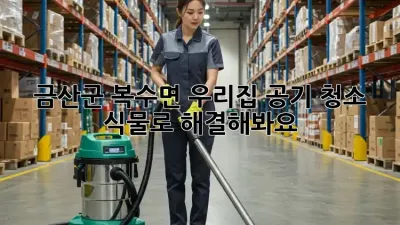금산군 복수면 우리집 공기 청소, 식물로 해결해봐요!
